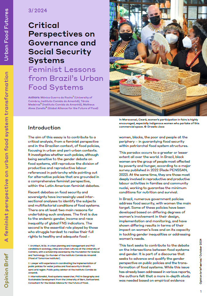 Critical Perspectives on Governance and Social Security Systems. Feminist Lessons from Brazil’s Urban Food Systems