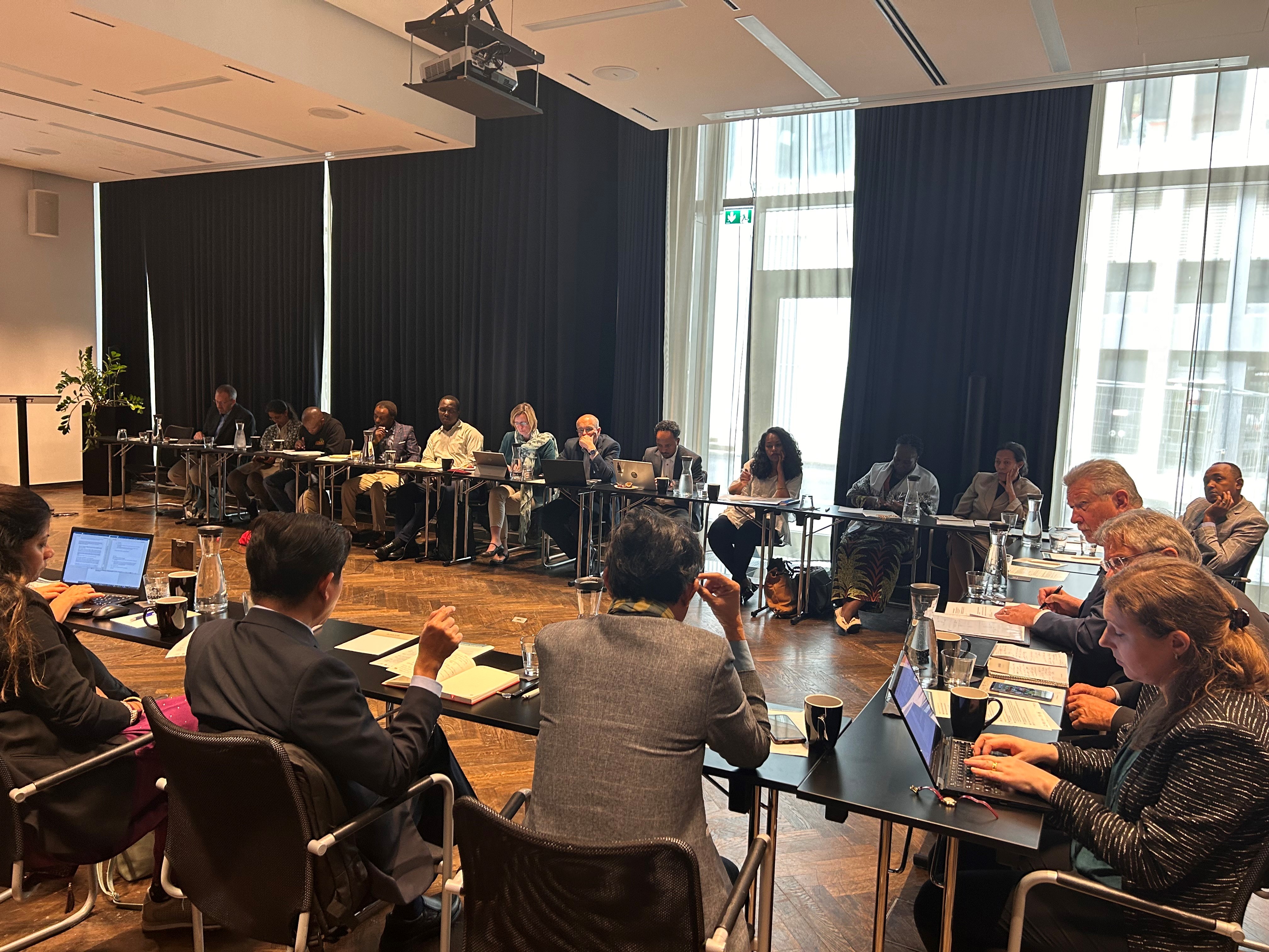 Workshop Governance