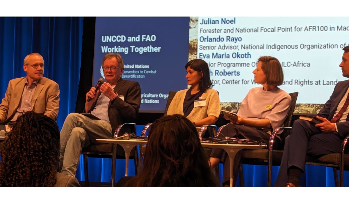 Climate solutions pose novel problems for global land governance, and importantly, people's rights 