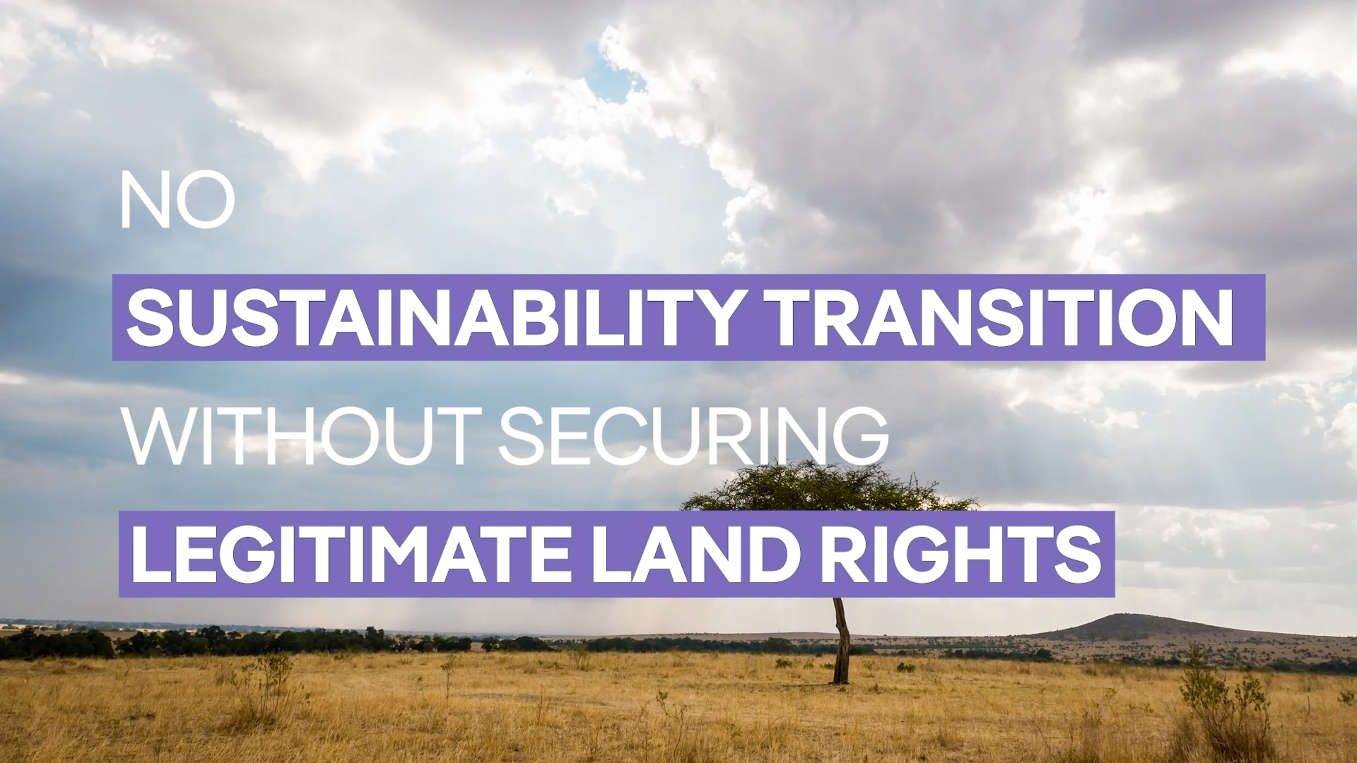 No Sustainability Transition Without Securing Legitimate Land Rights - TMG @ COP 15
