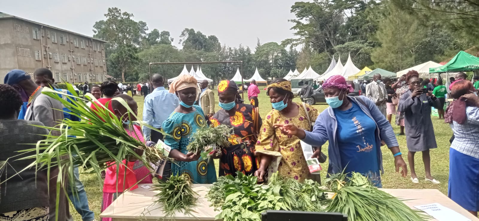 First Governor’s Day with Farmers takes place in Kakamega County