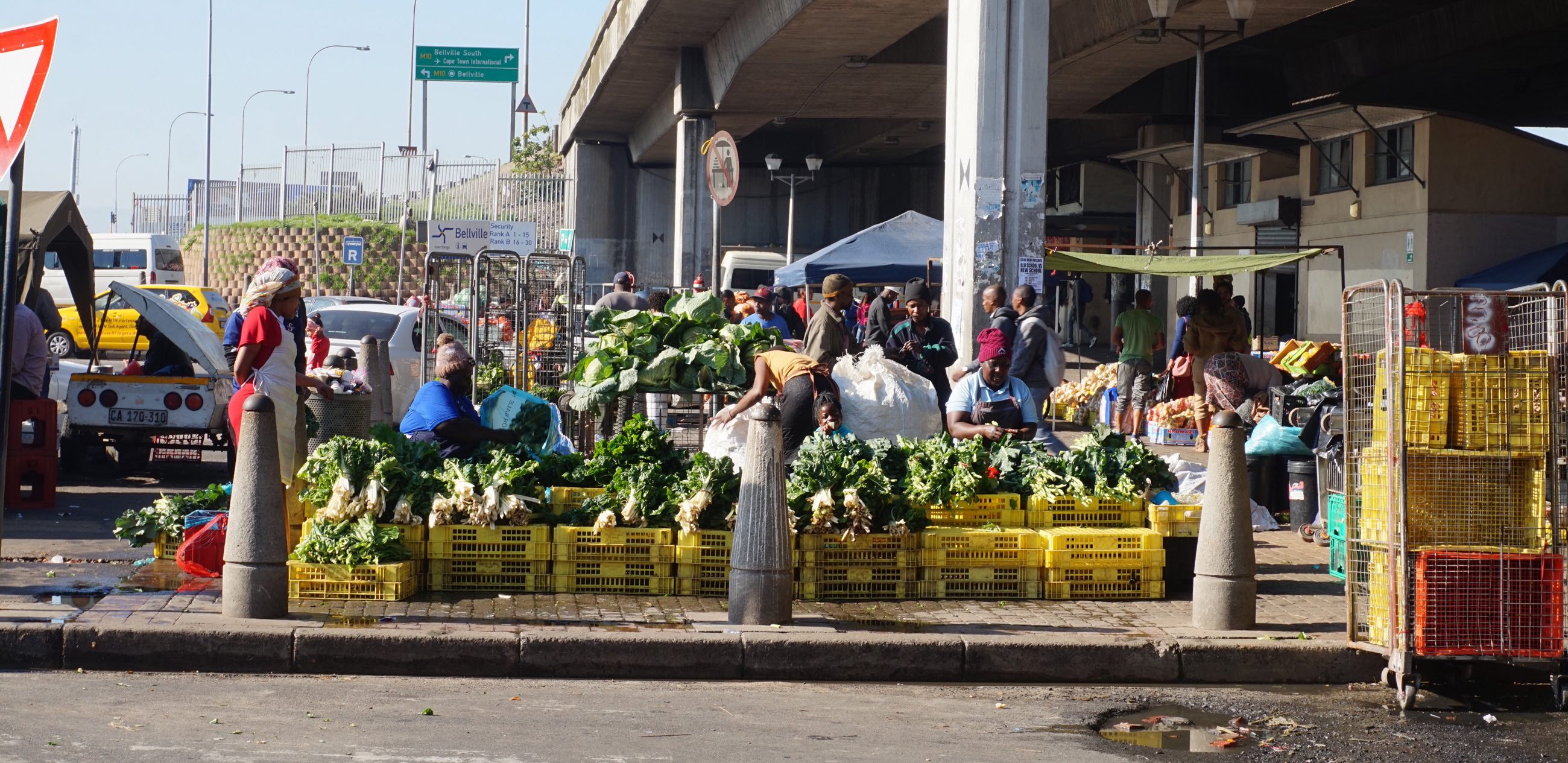 From scoping to action research: Implementation of five pathways for more resilient and inclusive urban food systems in Cape Town and Nairobi