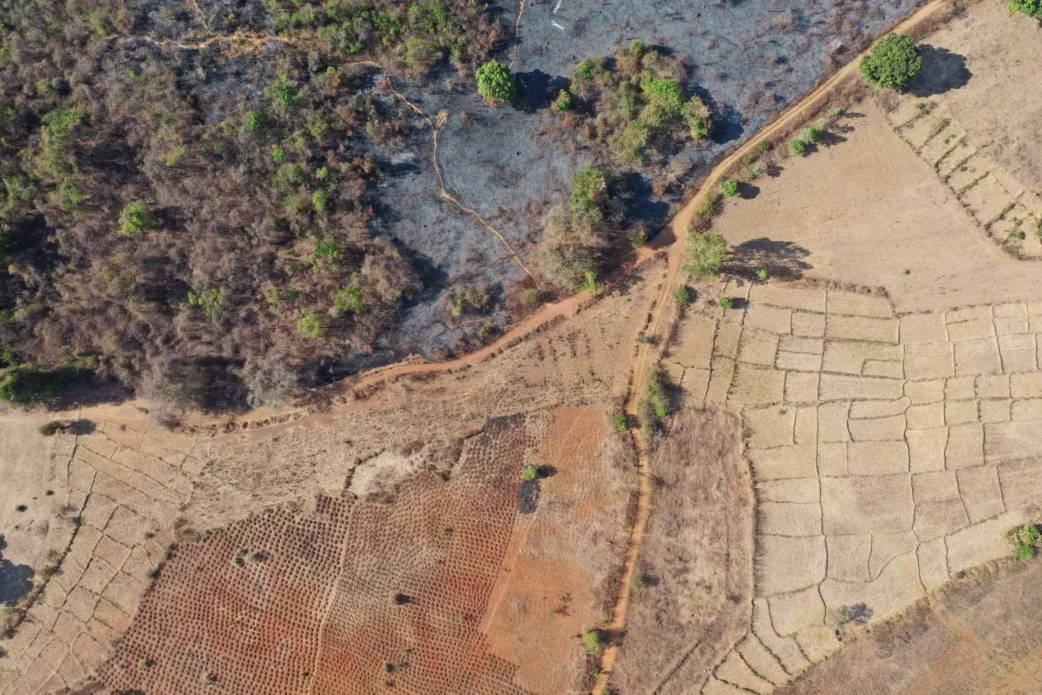 Land Rights and Gender Responsive Climate Action Seminar