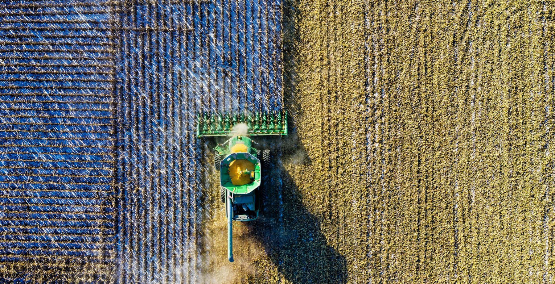 Harnessing policy thinking within development cooperation to strengthen the governance of food systems transformation