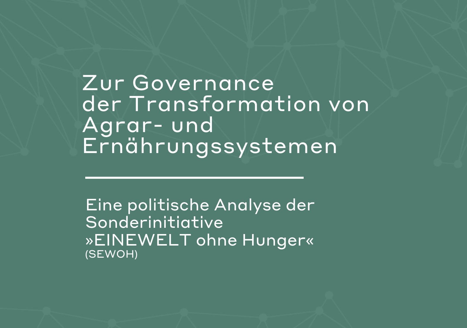 Governance in der Sonderinitiative „EINEWELT ohne Hunger“: Wer steuerte was wohin?