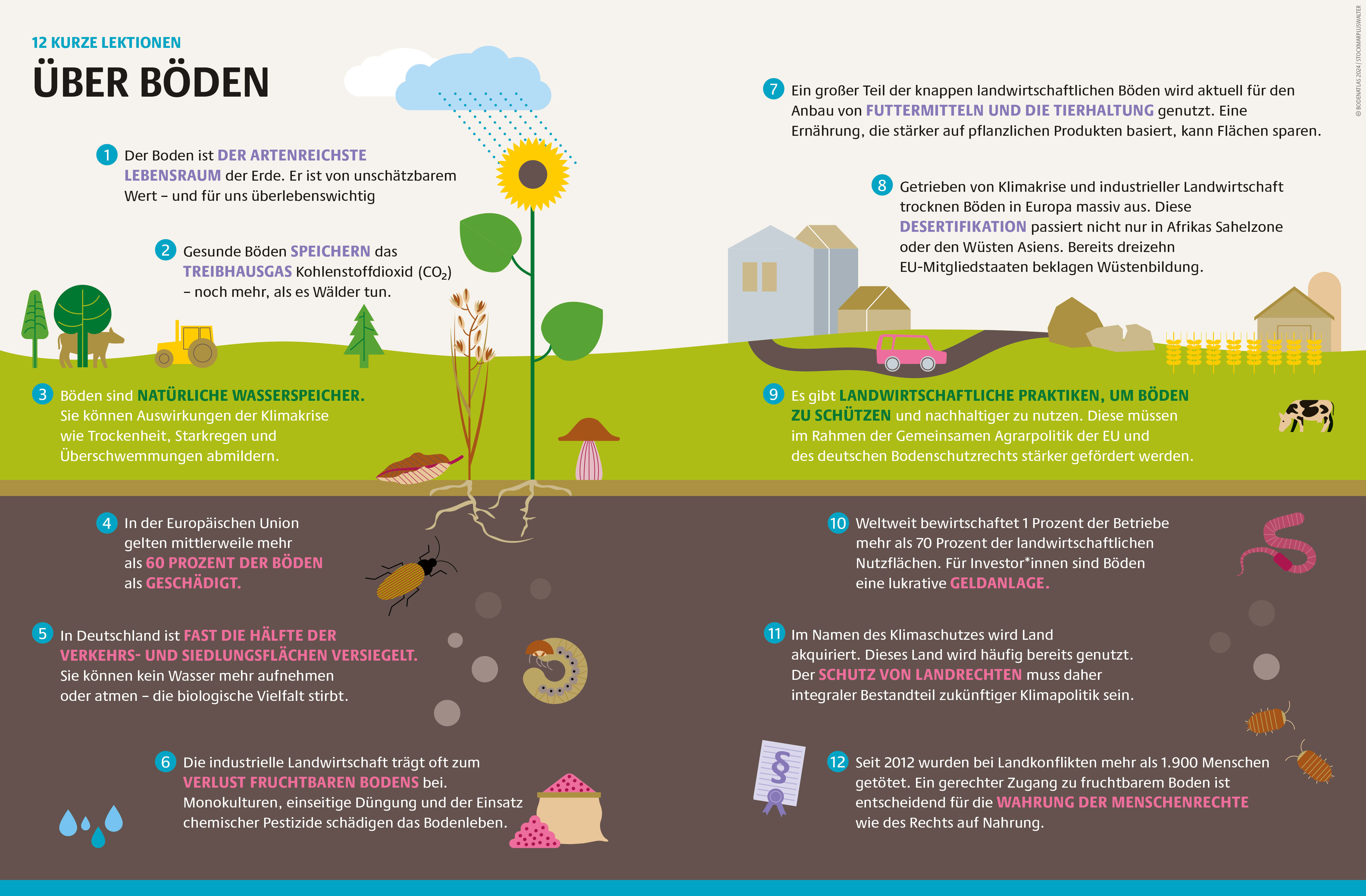 f-auto-q-auto-v1710242125-bodenatlas2024-grafik-8-9-rorkcy-1.png