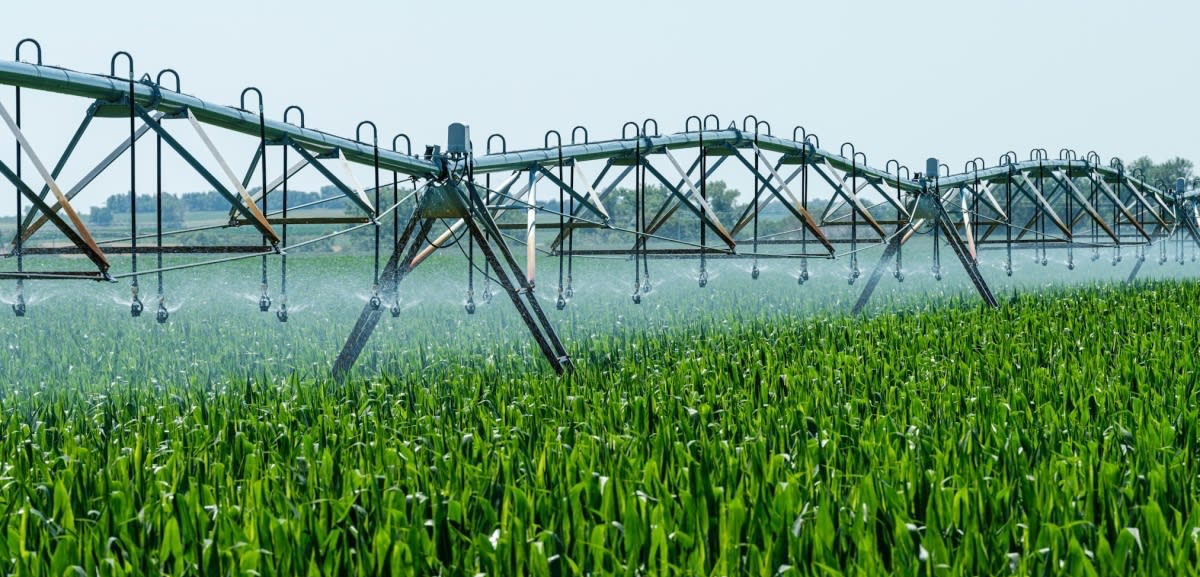 Fourth Agricultural Revolution: Who bears the costs, who gains the benefits?