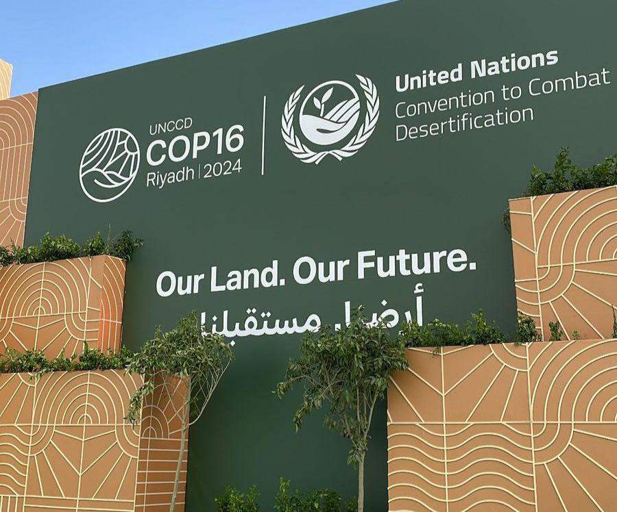 Against the odds: Advancing land tenure and synergies at COP16