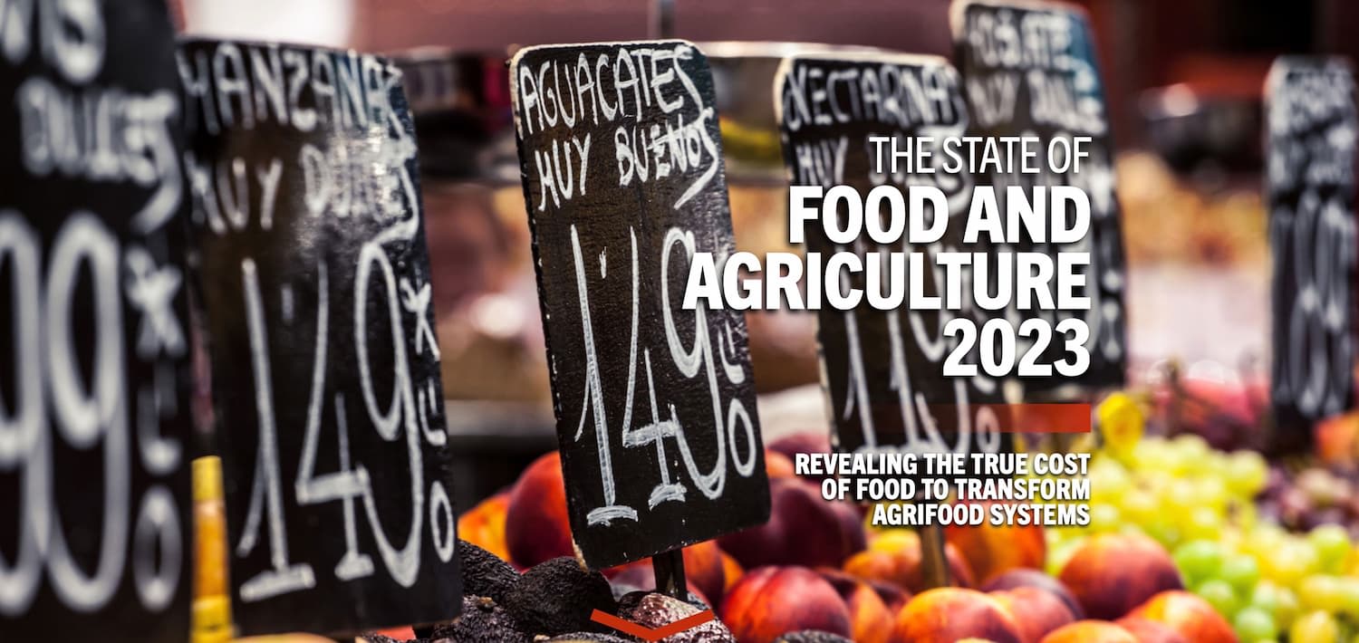 How true cost accounting can transform our food systems – and lives – for the better