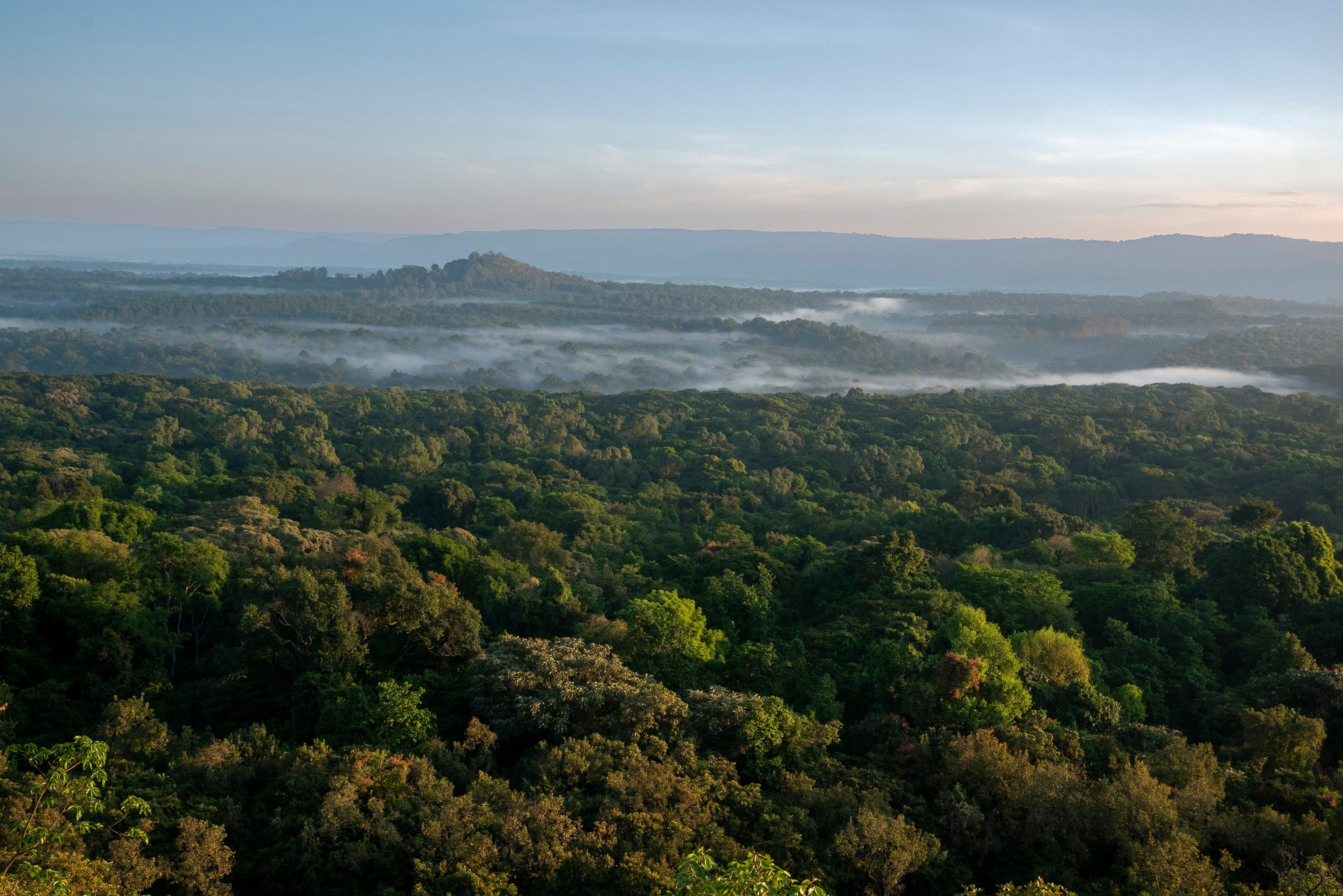 Promoting land restoration beyond public forest: The case of Loita Community Forest in Narok County, Kenya