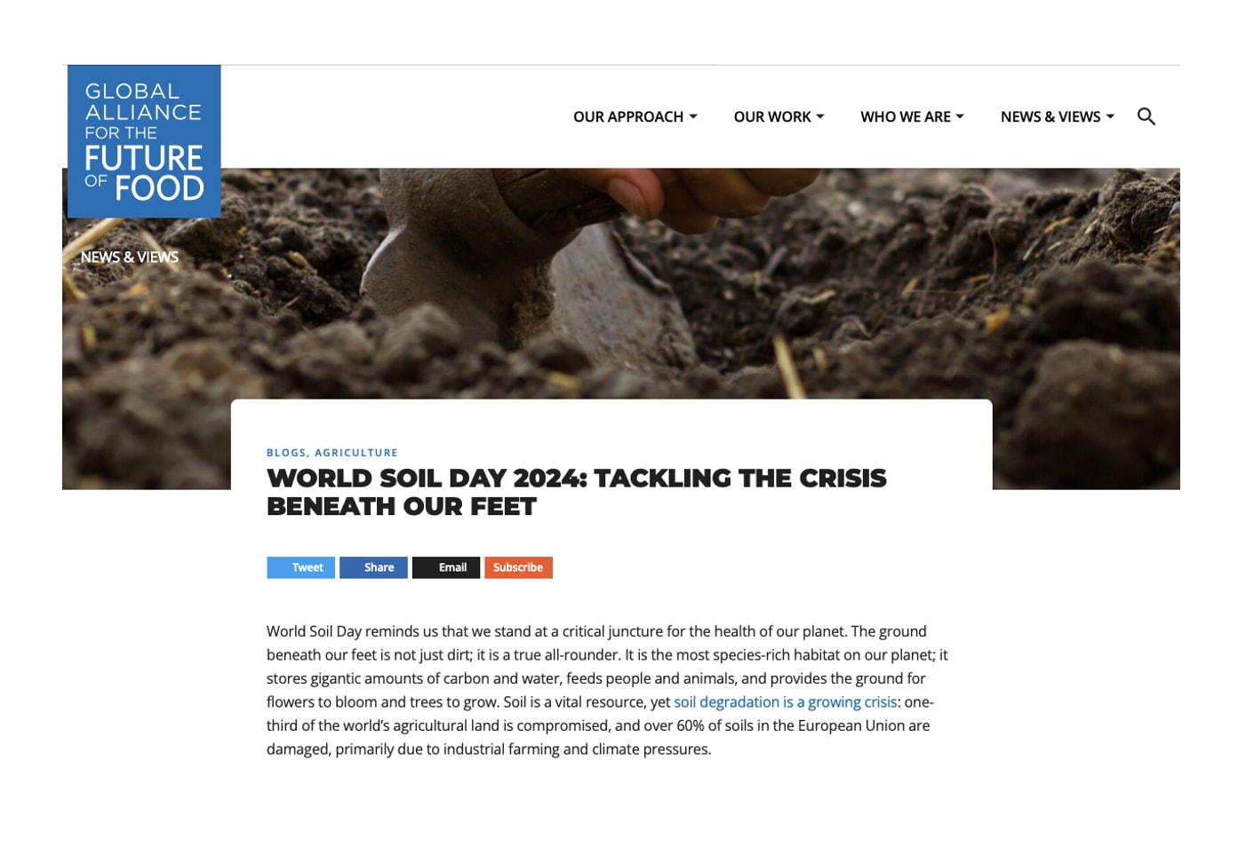 World Soil Day 2024: tackling the crisis beneath our feet