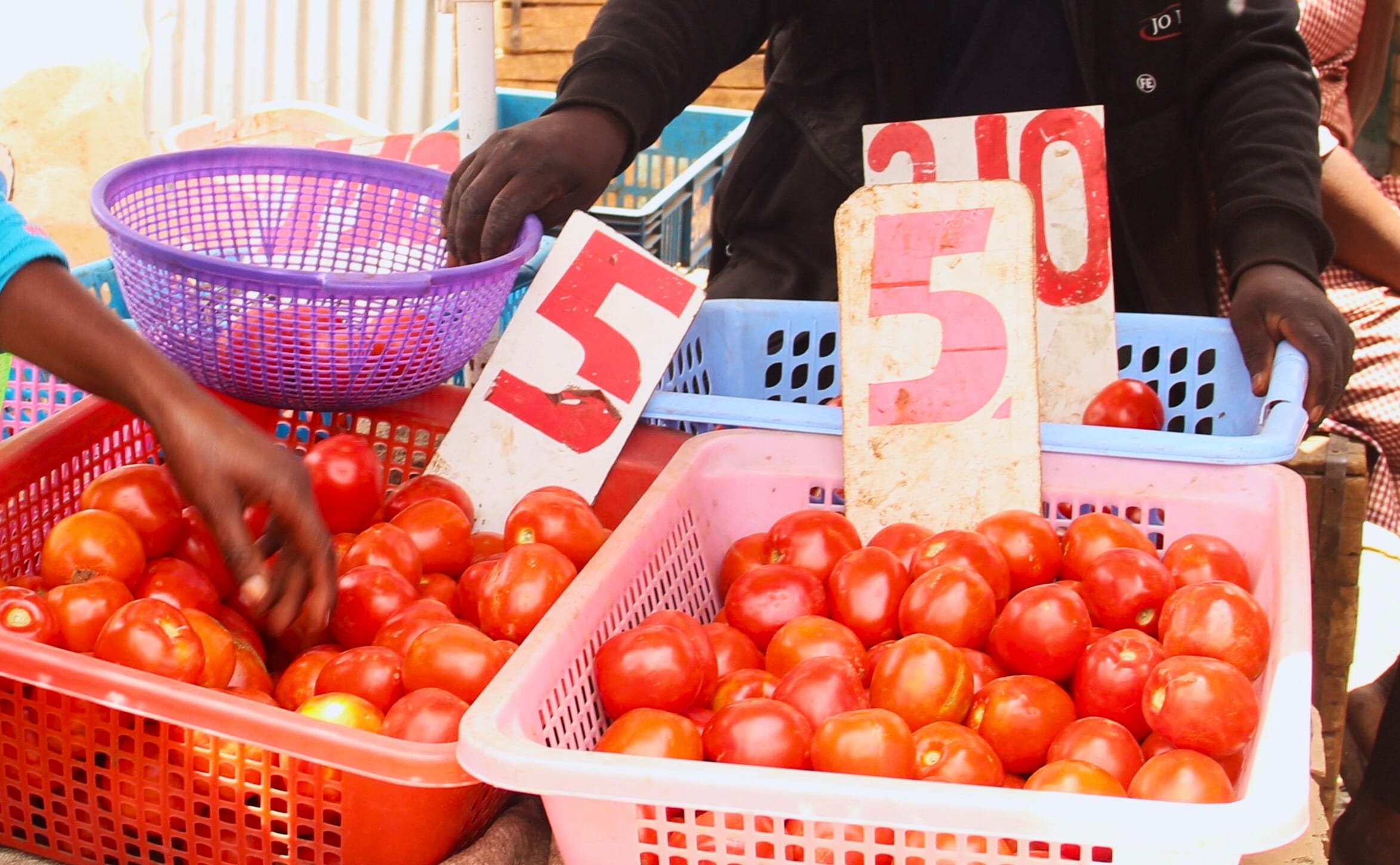 Cheaper Food, Higher Costs: The Paradox of Nairobi’s Food Systems 