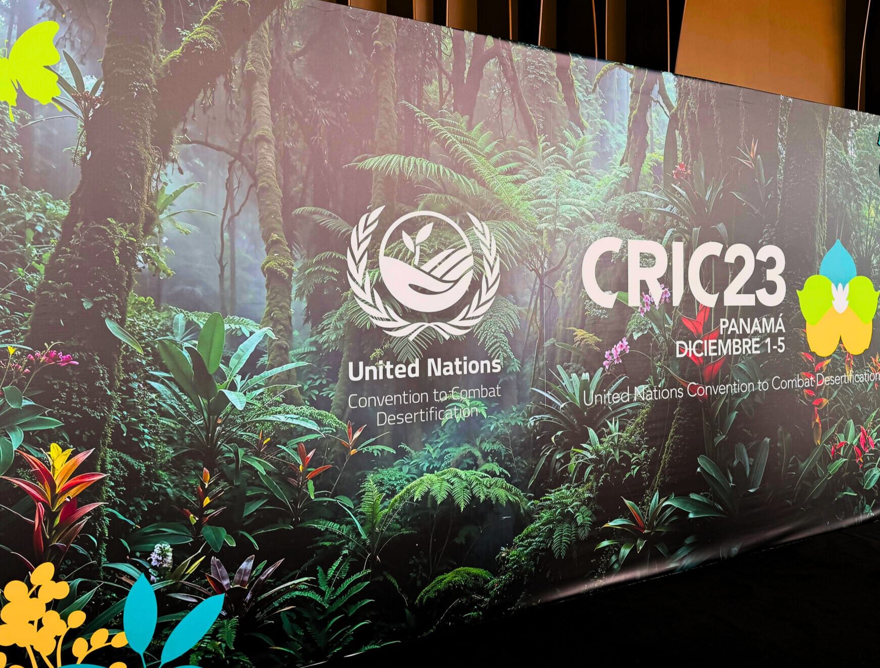 Land tenure, women’s land rights, and resilience: Reflections from CRIC23 toward UNCCD COP17 