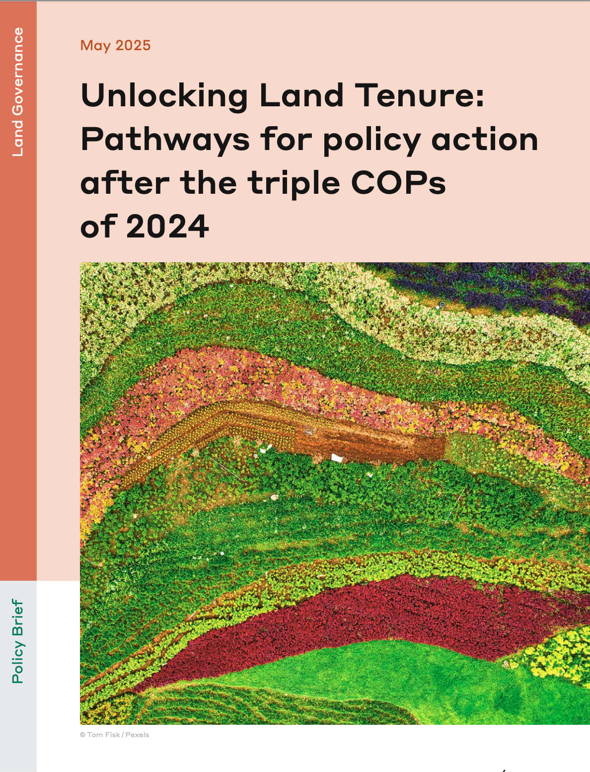 Unlocking Land Tenure: Pathways for policy action after the triple COPs of 2024