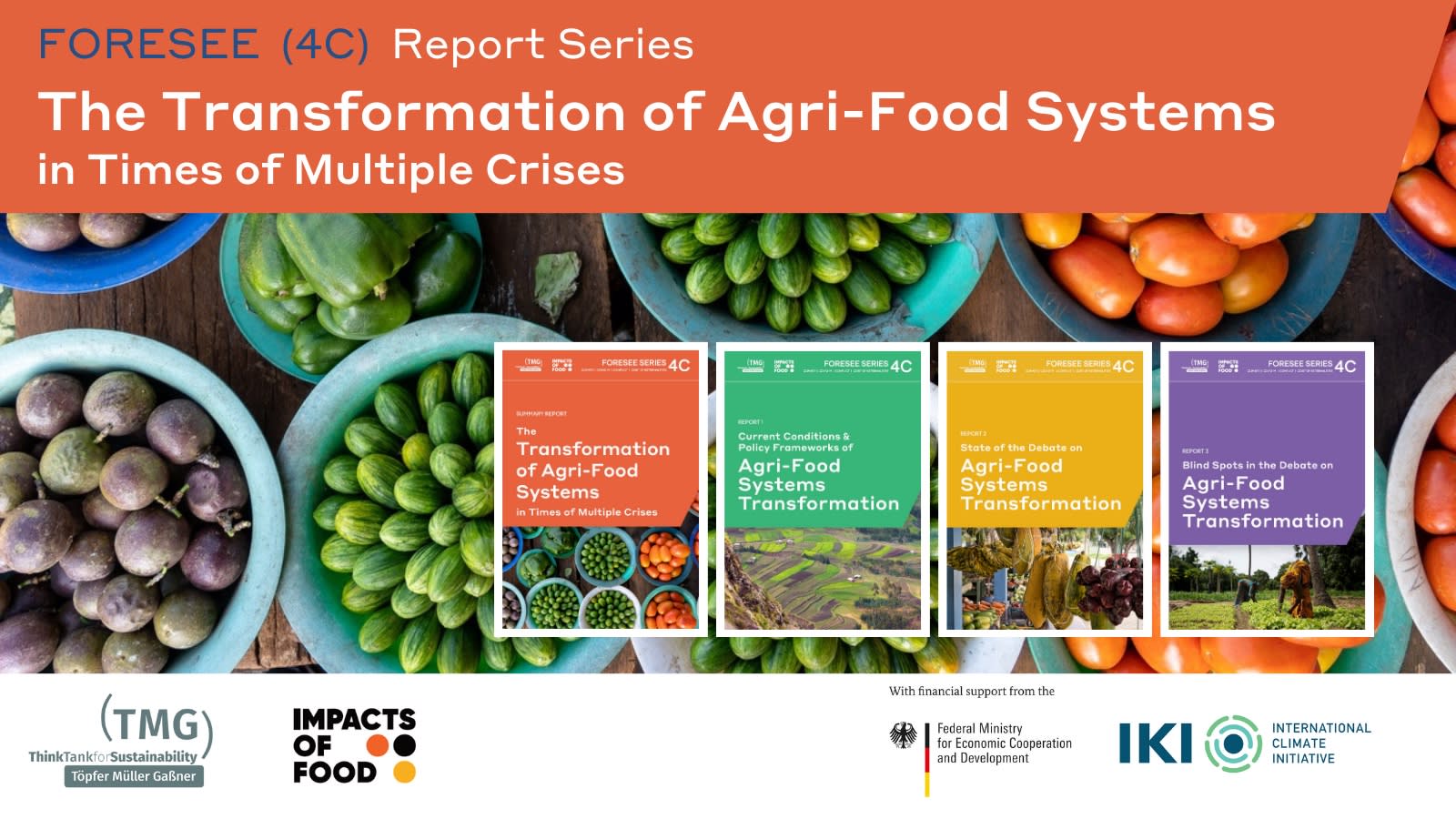 New report series explores entry points for the global governance of agri-food system transformation