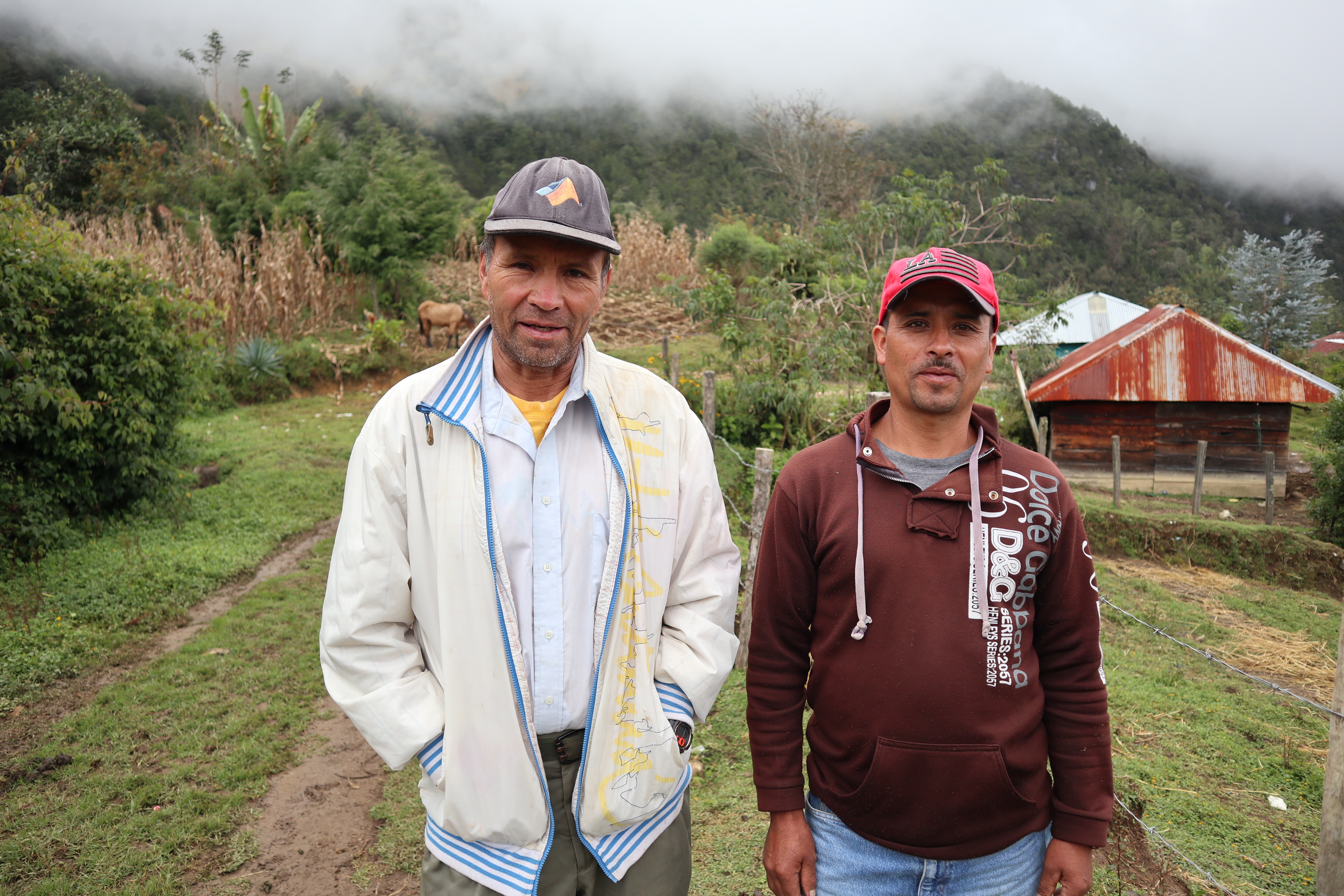 forest monitoring team