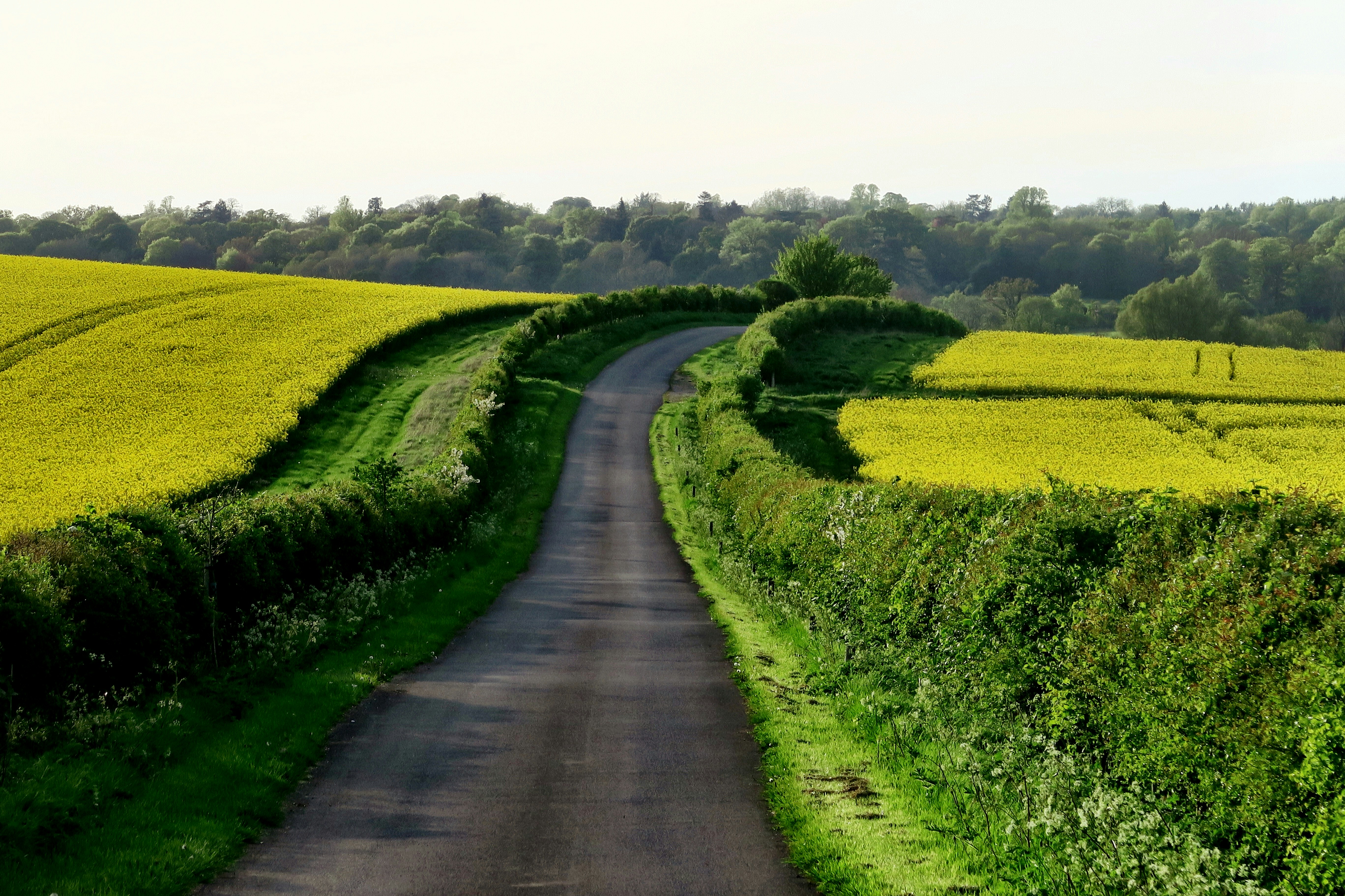 True Cost Accounting (TCA) Roadmap