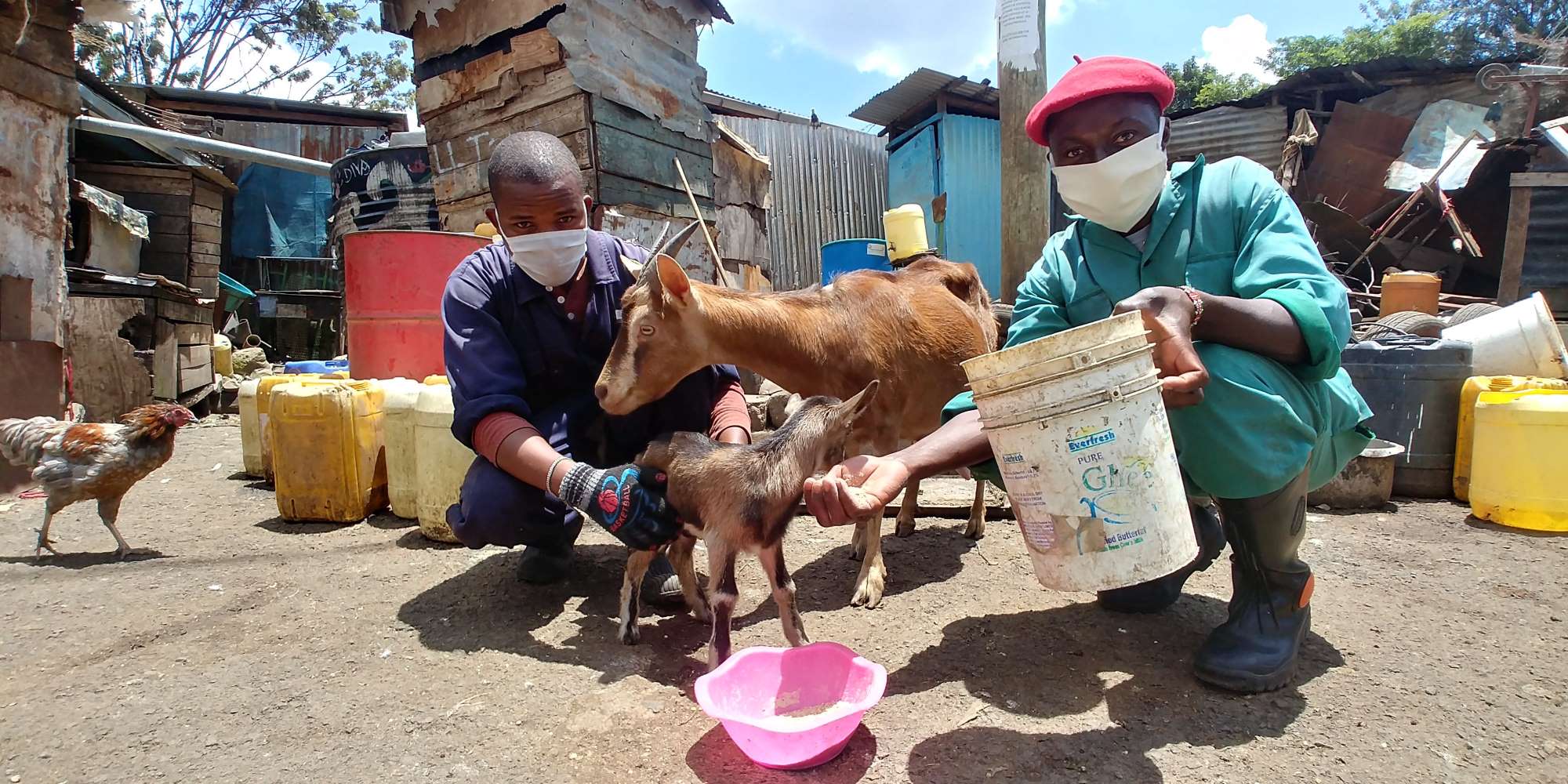 Covid-19 and the evolving face of urban farming in Nairobi