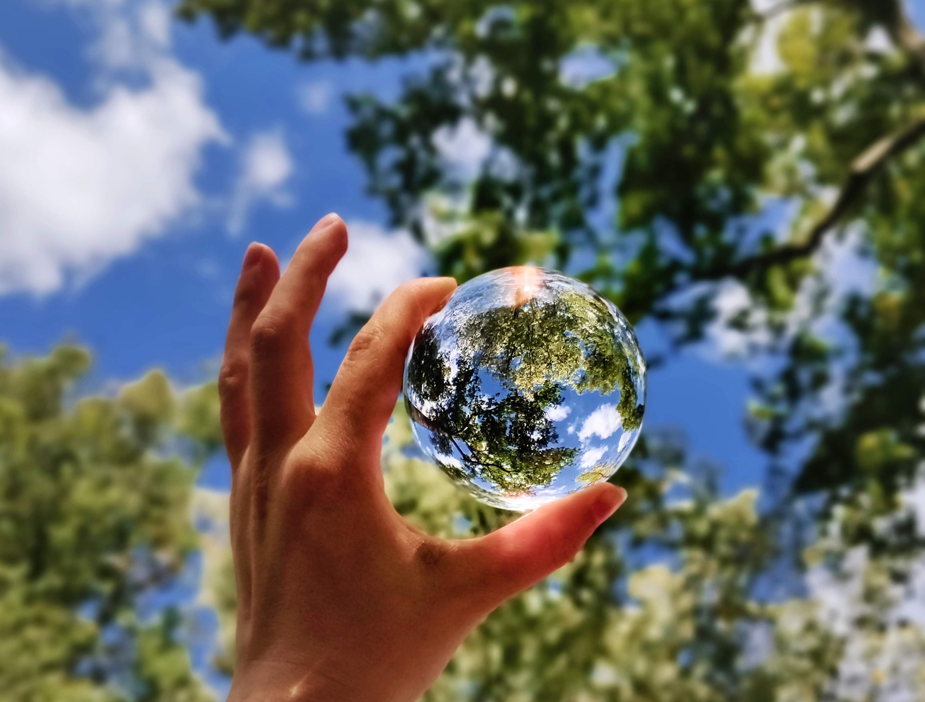 Food Systems Transformation