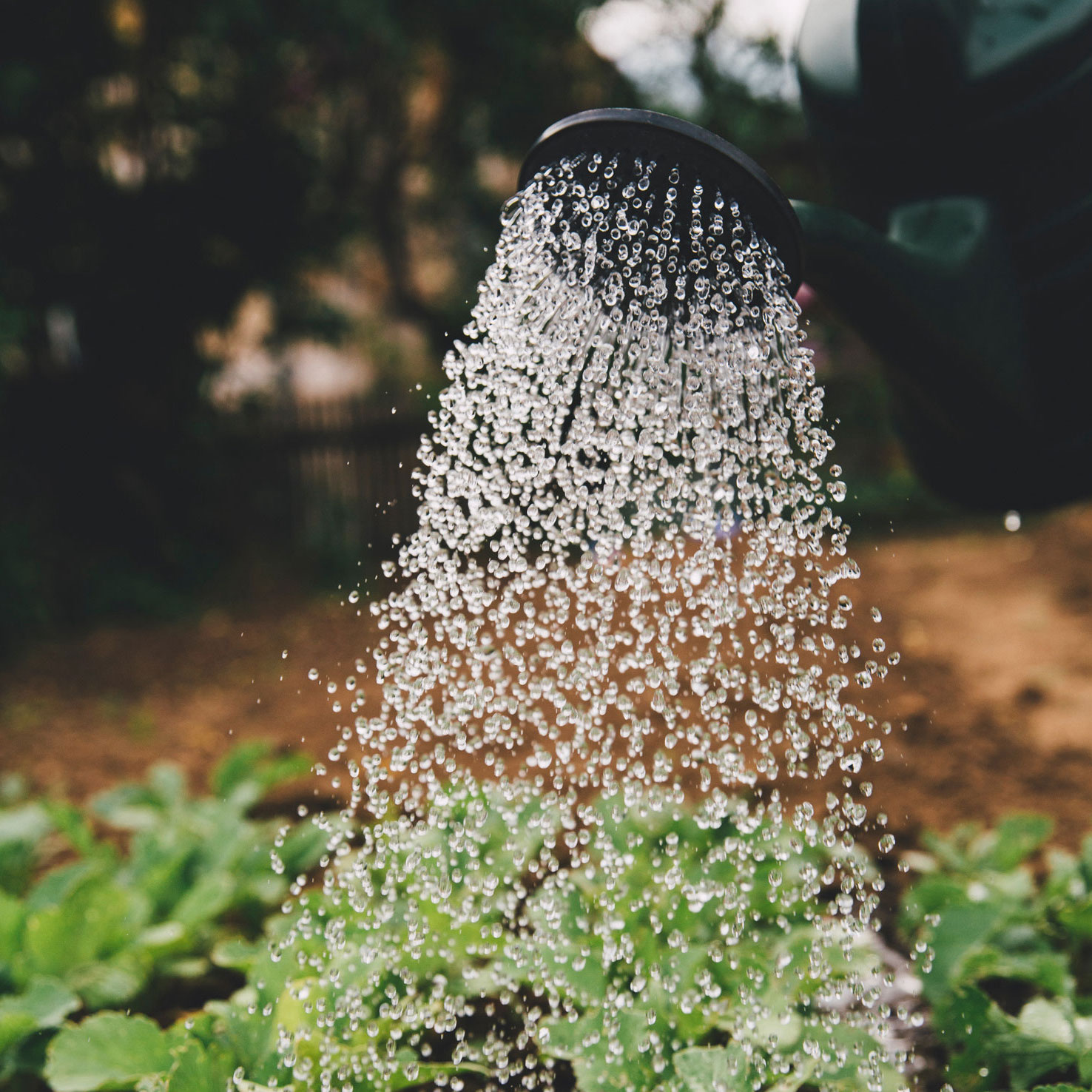 Assessment and Communication of Climate Impacts of Food (CLIF)