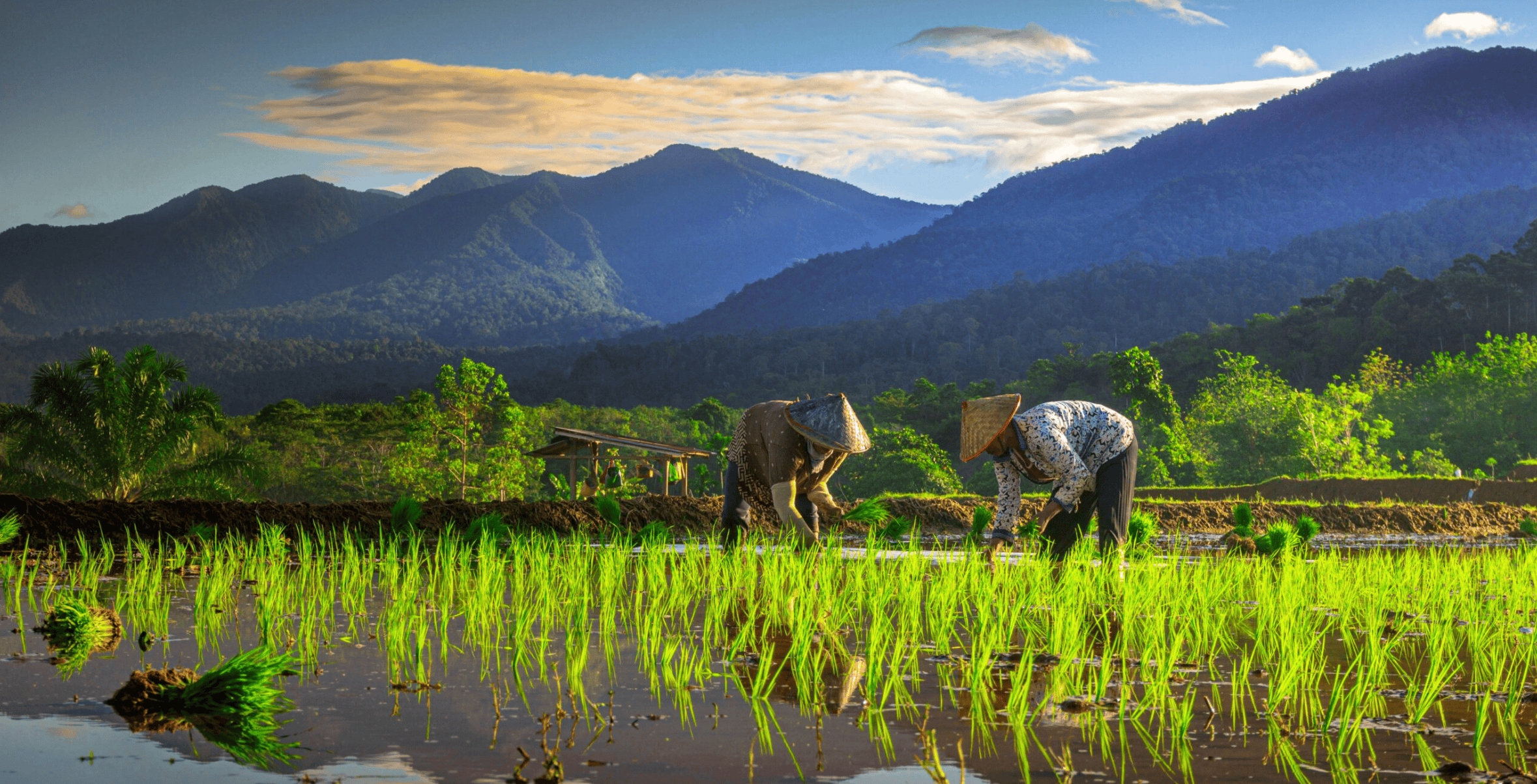Net Zero Needs Land Justice