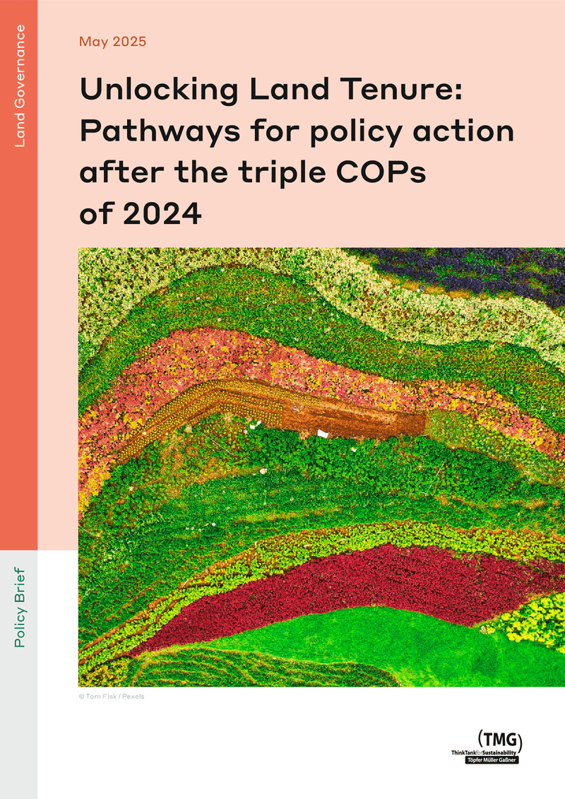Unlocking Land Tenure: Pathways for policy action after the triple COPs of 2024