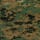 Marpat