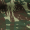 Greek Camo