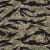 Tiger Stripe