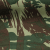Greek Camo