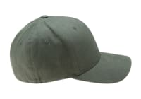 Flexfit Brushed Twill Cap