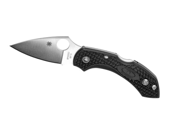Spyderco C28 Dragonfly2 Lightweight Plain Edge Folder