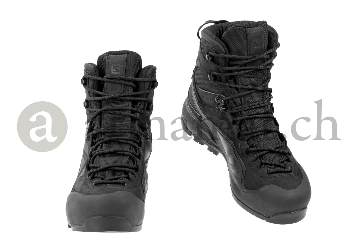 Salomon X Alp MTN GTX Forces 2024 Armamat.ch