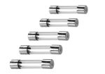 Nimrod Glass Type Fuse 30mm 30A 5pcs