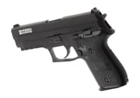 AW Custom Swiss Arms P229R Full Metal GBB