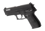 AW Custom Swiss Arms P229R Full Metal GBB