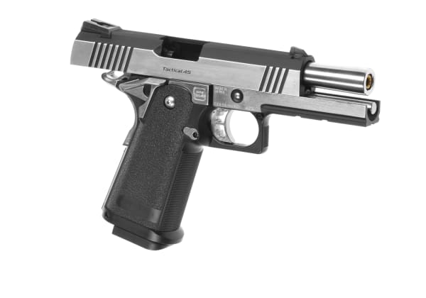 Tokyo Marui Hi-Capa Dual Stainless GBB