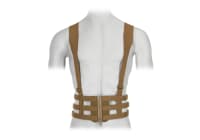 Crye Precision Low Vis Chest Rig