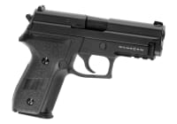 WE P229R Full Metal GBB