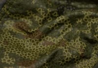 Clawgear Raider Pants MK V ATS Flex