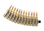 Classic Army 5.56mm Cartridge Belt