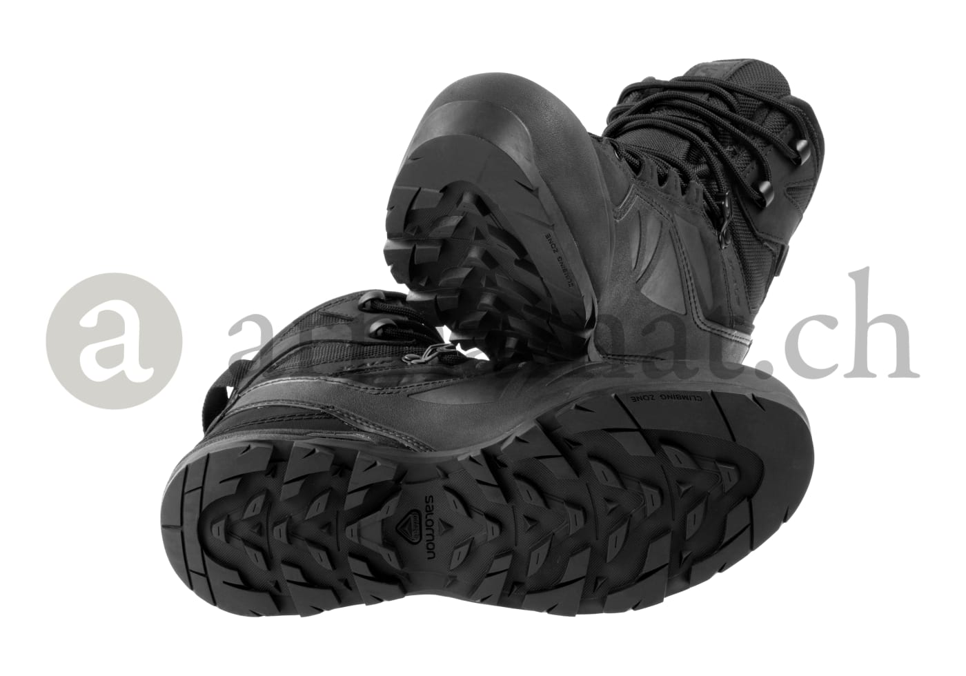 Salomon X Alp MTN GTX Forces 2024 Armamat.ch
