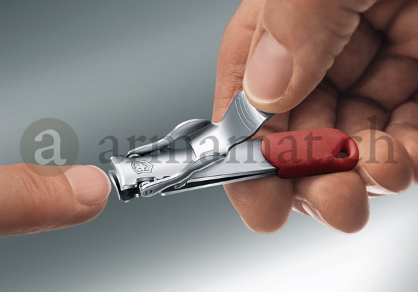 Victorinox clipper online