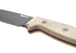 Ontario RAT-3
