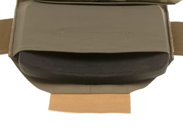 Blue Force Gear PLATEminus V2 Carrier