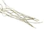 Invader Gear Ghillie Threads