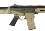 ICS CXP APE