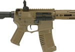 Amoeba AM-009 EFCS