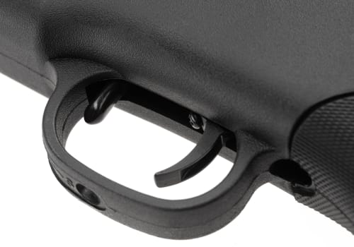 Ruger Targis Hunter 4.5 mm