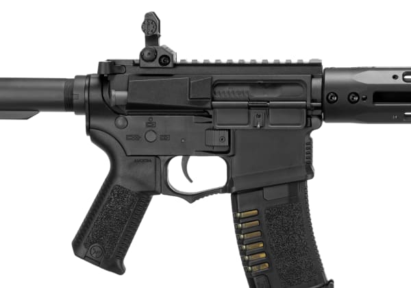 Amoeba AM-009 EFCS